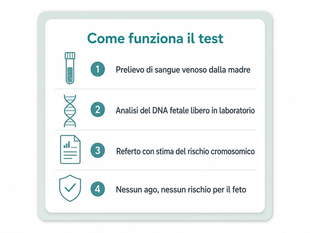 Infografica su come funziona il test DNA fetale NIPT: prelievo di sangue, analisi in laboratorio, referto del rischio cromosomico, nessun rischio per il feto